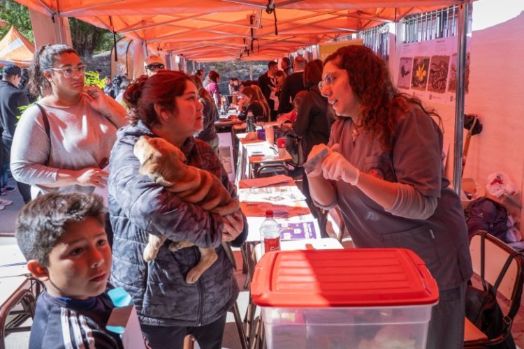 9 de Julio recibe el operativo San Juan Cerca