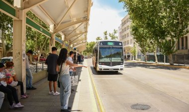 Estas son las líneas que llegan a la sede de la Dirección de Discapacidad en Santa Lucía