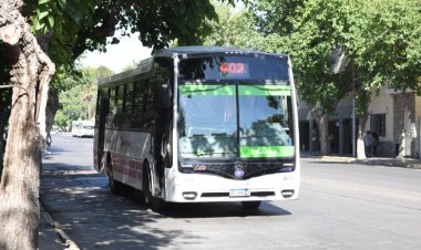 Elecciones: cómo funcionarán los colectivos en San Juan