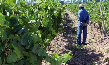 Producción recorrerá la provincia llevando información sobre líneas de financiamiento