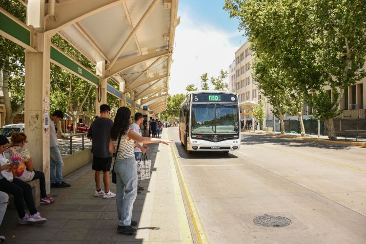 Estas son las líneas que llegan a la sede de la Dirección de Discapacidad en Santa Lucía