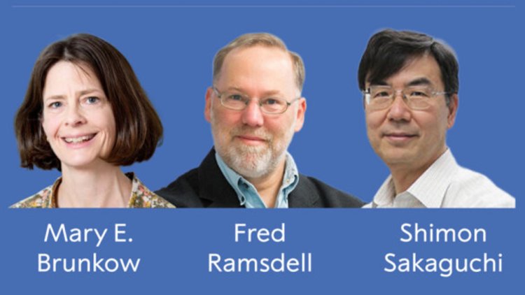 Premio Nobel de Medicina 2025: descubrimientos sobre la tolerancia inmune periférica