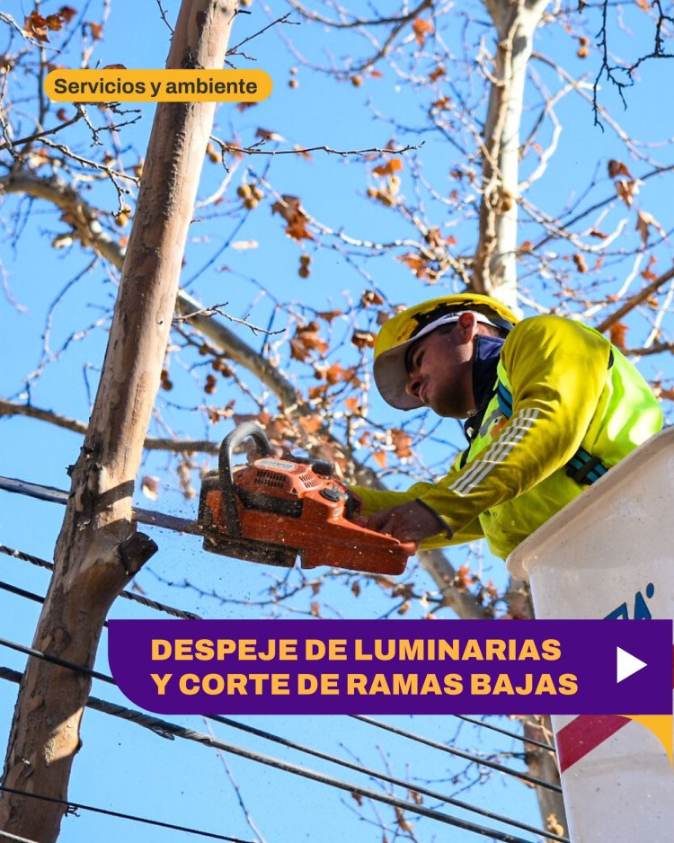 Operativo de despeje de luminarias y corte de ramas bajas en la Ciudad