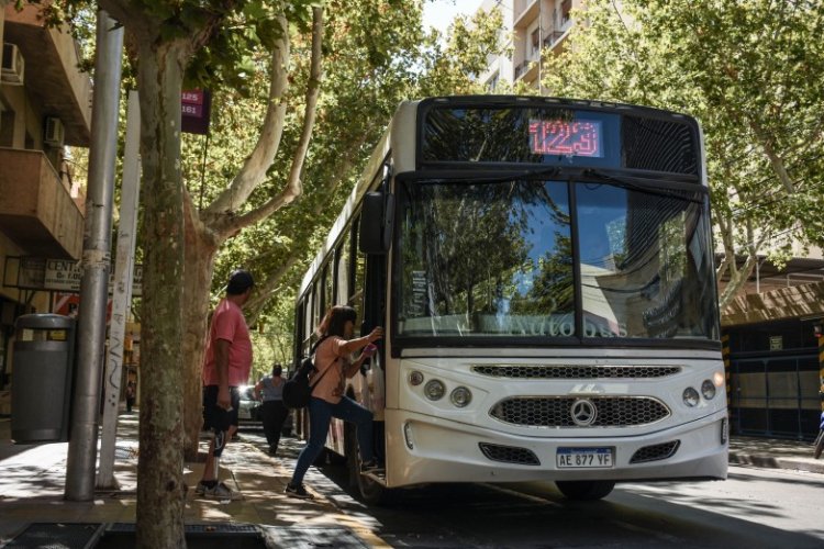 RedTulum informó que se extiende el plazo de validez de los pases de discapacidad