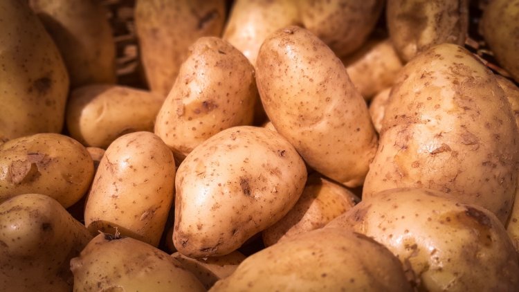 Feria y Mercado de Abasto: buenos precios y calidad