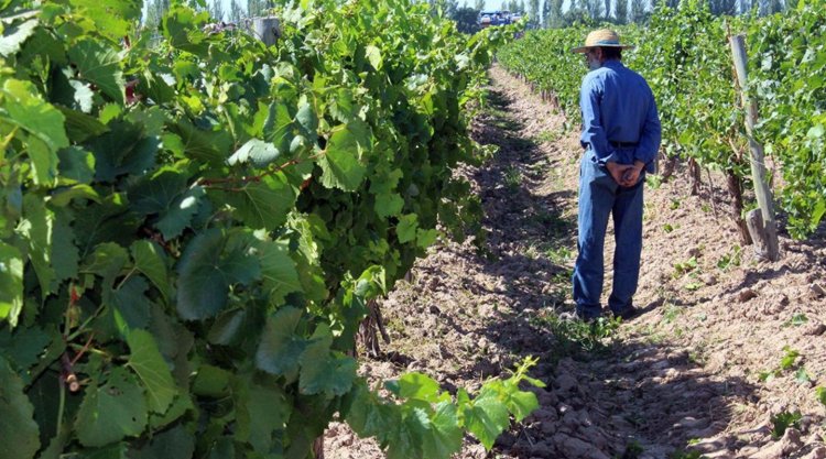 Producción recorrerá la provincia llevando información sobre líneas de financiamiento