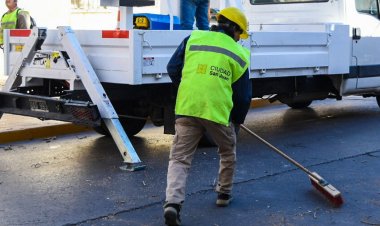 Operativo de arbolado público en distintos barrios de Capital