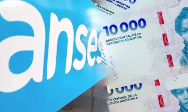 ANSES: las modificaciones en los montos de la AUH para diciembre