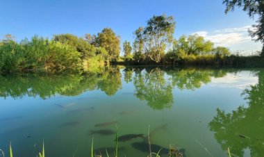 Nuevos horarios de visita en el Parque de la Biodiversidad