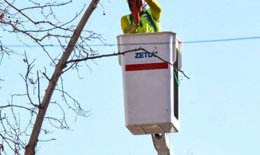Operativos de Arbolado Público en toda la Ciudad