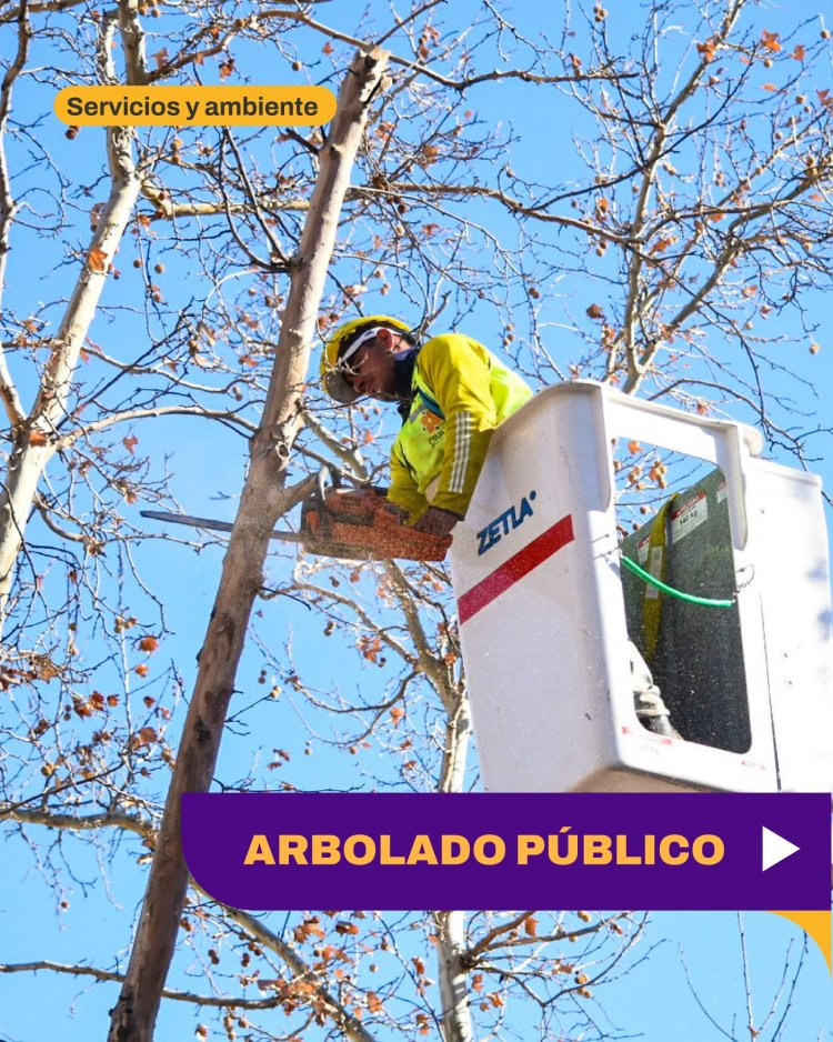 Operativo de arbolado público en la Ciudad de San Juan
