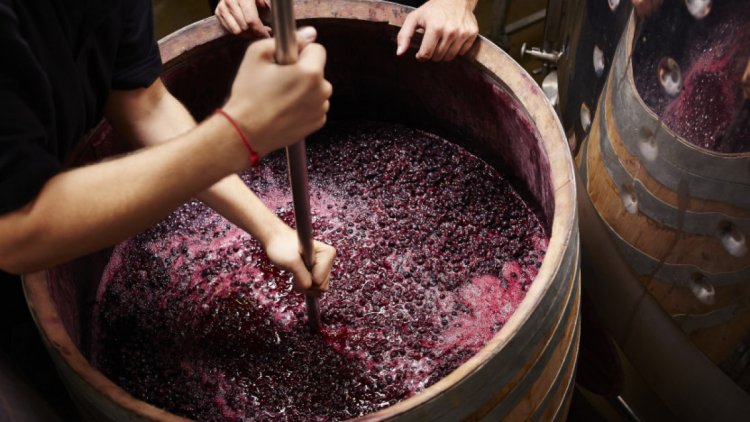 El Grupo Fecovita reconfigura Bodega Resero para aumentar su producción en San Juan