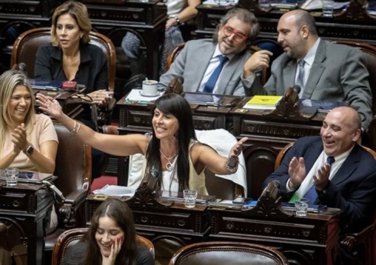 Quiénes son los diputados que renunciarán a sus bancas el próximo miércoles
