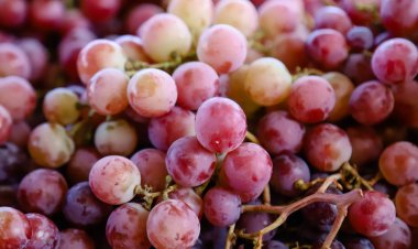 Feria y Mercado de Abasto: buenos precios y calidad