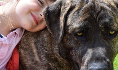 Nueva jornada de vacunación antirrábica y desparasitación para perros y gatos en la Ciudad