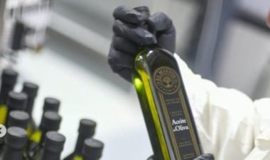 San Juan se consolida como región olivícola líder de Argentina