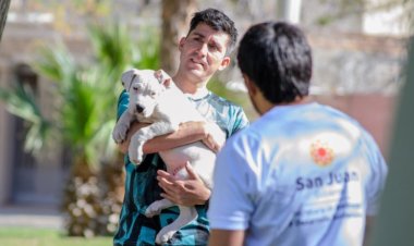 El quirófano móvil sigue recorriendo San Juan con esterilización gratuita