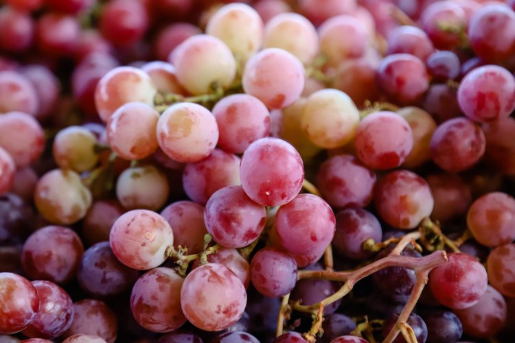 Feria y Mercado de Abasto: buenos precios y calidad