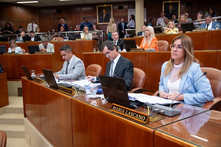 Diputados tratarán el Presupuesto 2026 este jueves