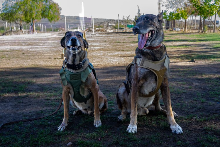 Ankara y Atlas: el retiro de dos guardianes del Servicio Penitenciario