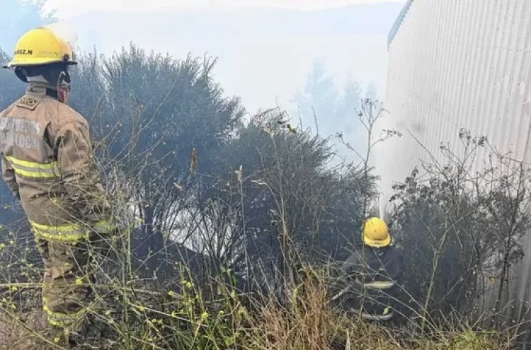 Alerta en Bariloche por un incendio forestal que empezó en la ladera del cerro Runge