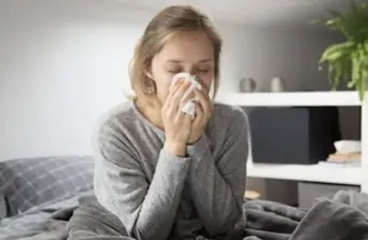 Puede crecer la gripe H3N2 hasta ser una pandemia?: esto dice la OMS sobre la influenza K