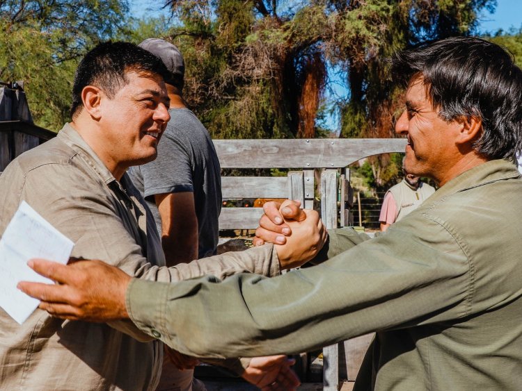 Jáchal consolida su Plan Ganadero: avanza la segunda etapa de inseminación artificial