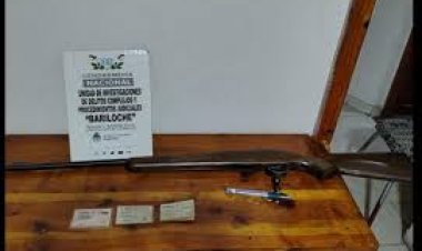 Faenaron un guanaco en el Nahuel Huapí y deberán pagar $6 millones