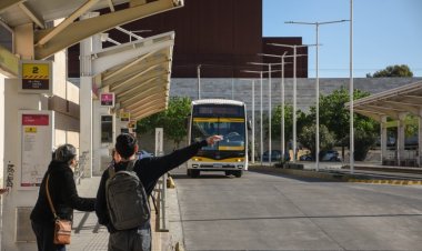 RedTulum: cómo acceder a reintegros al pagar el colectivo con el celular