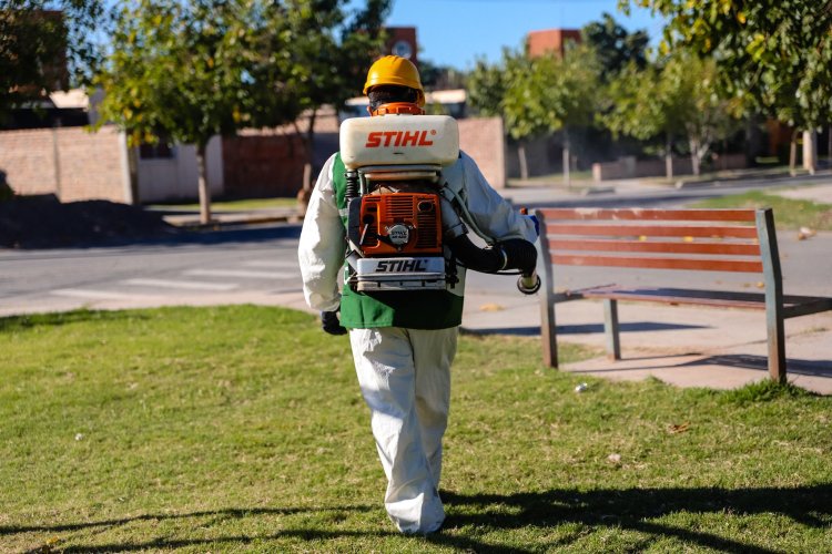 Operativos de desinsectación, desratización y educación ambiental en la Ciudad