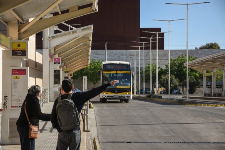 RedTulum: cómo acceder a reintegros al pagar el colectivo con el celular