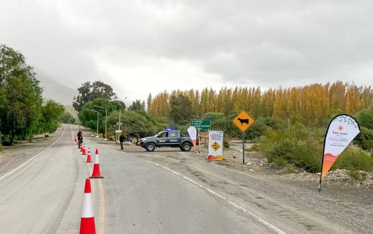 Ambiente solicita bajar la velocidad en rutas para proteger la fauna silvestre