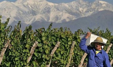 El Gobierno adelantó los créditos de cosecha y acarreo y ya hay solicitudes aprobadas