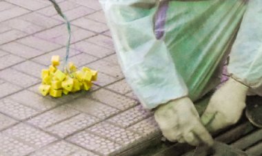 Operativo integral de desinsectación y desratización en distintos sectores de la Ciudad