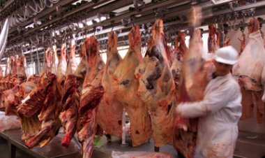 Por qué los precios de la carne seguirán en alza