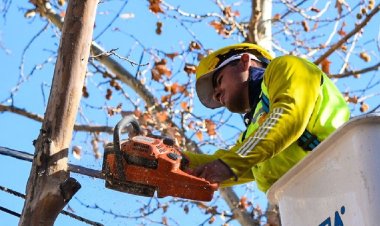 Nuevo operativo de arbolado público en Parque Universitario y distintos sectores de Capital