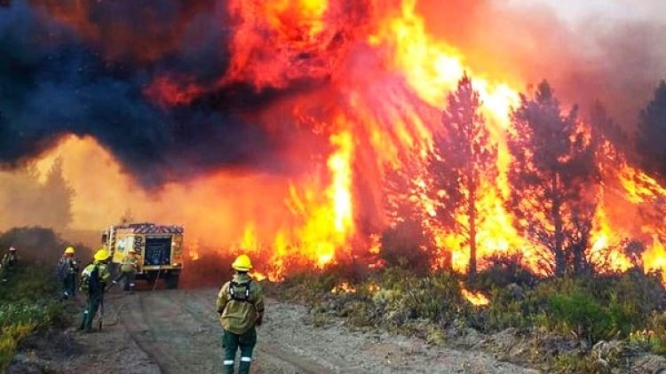 Drama en la Patagonia: el fuego ya afectó 45 mil hectáreas y hay cuatro parques en alerta