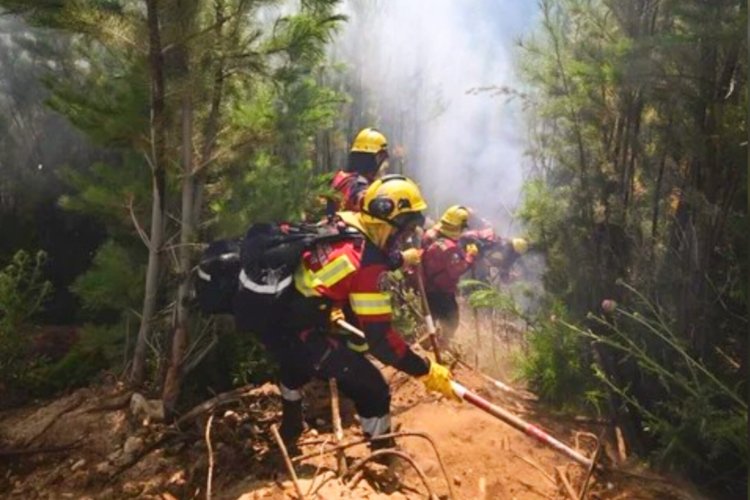 Chubut: cortaron la ruta 71 hacia Cholila para combatir los incendios forestales