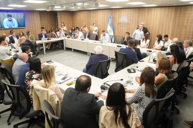 José Peluc fue designado presidente de la Comisión de Recursos Naturales de la Cámara de Diputados