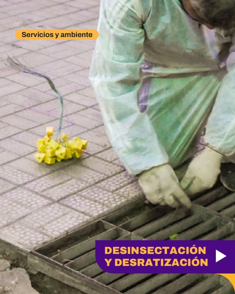 Operativo integral de desinsectación y desratización en distintos sectores de la Ciudad