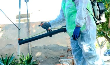 Operativo integral de desinsectación y desratización en distintos sectores de Capital