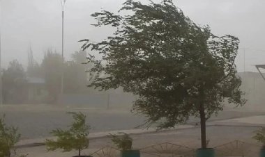 Alerta amarilla en San Juan por la llegada de fuerte viento sur