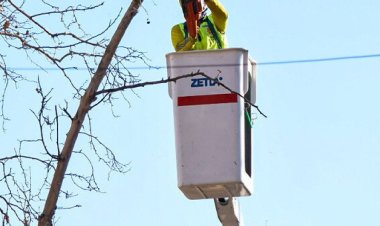 Capital continúa con tareas de mantenimiento del arbolado público