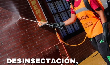 Nuevo cronograma de desinsectación y desratización en Capital