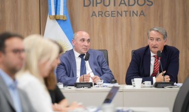 Audiencias por la reforma de la Ley de Glaciares: comenzó la primera jornada con 200 oradores presenciales