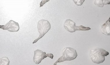 Detienen en Capital a una mujer que llevaba droga en sus prendas