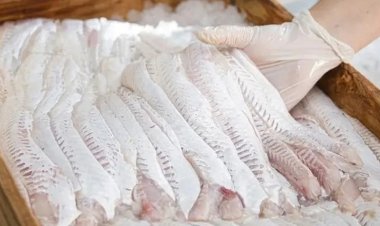 Refuerzan el control en la venta de pescado para semana santa