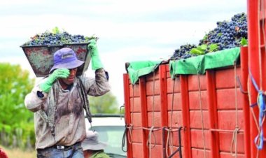 En dos años Agencia Calidad San Juan otorgó más de 1100 créditos