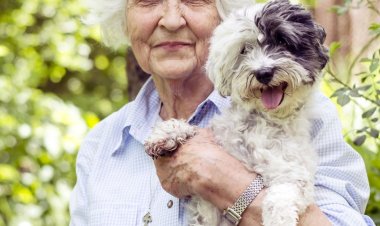 Vacunación antirrábica gratuita para perros y gatos en Plaza Sagrada Familia