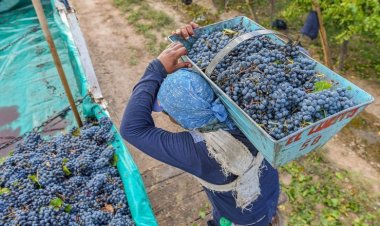 Fiduciaria San Juan otorgó $11.327 millones en créditos en dos años